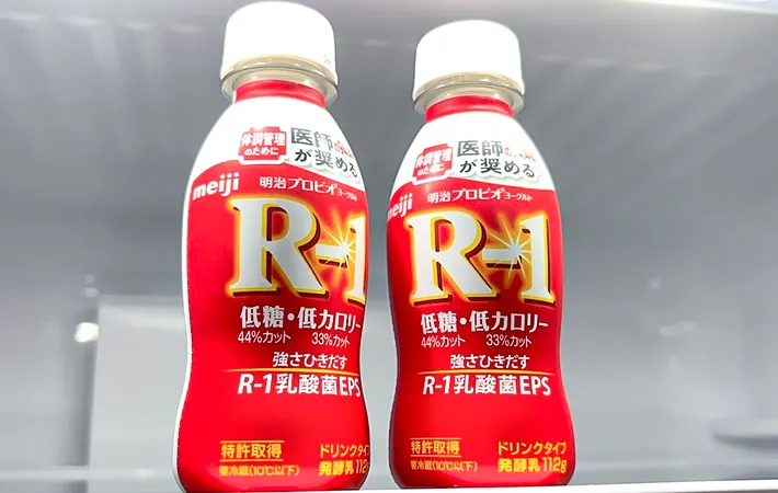 『R-1』の写真（撮影：キジカク）