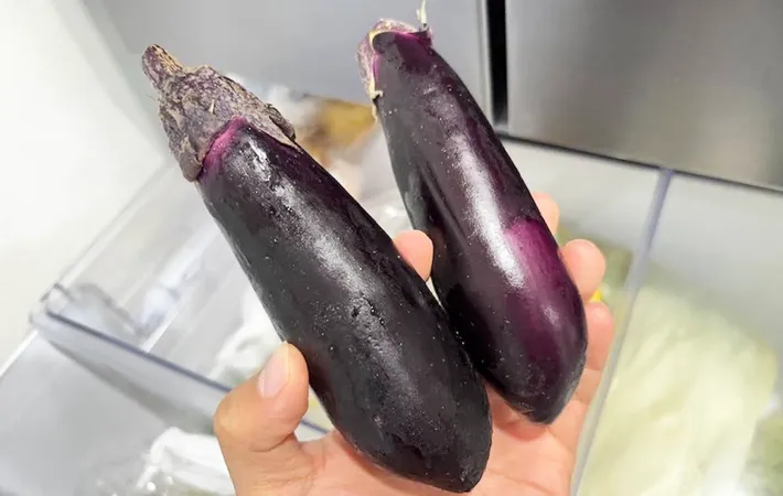 『ナス』の写真（撮影：キジカク）