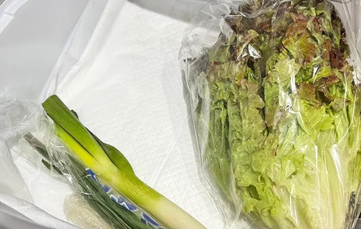 『ペットシーツ活用法』の写真（撮影：キジカク）