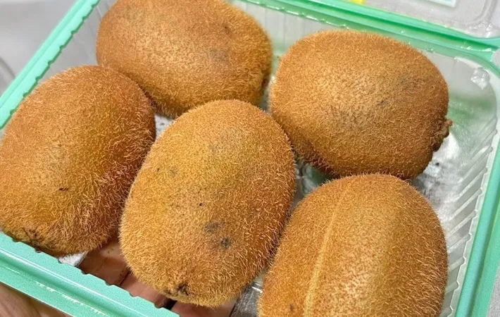 『キウイ』の写真（撮影：キジカク）