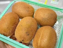 『キウイ』の写真（撮影：キジカク）