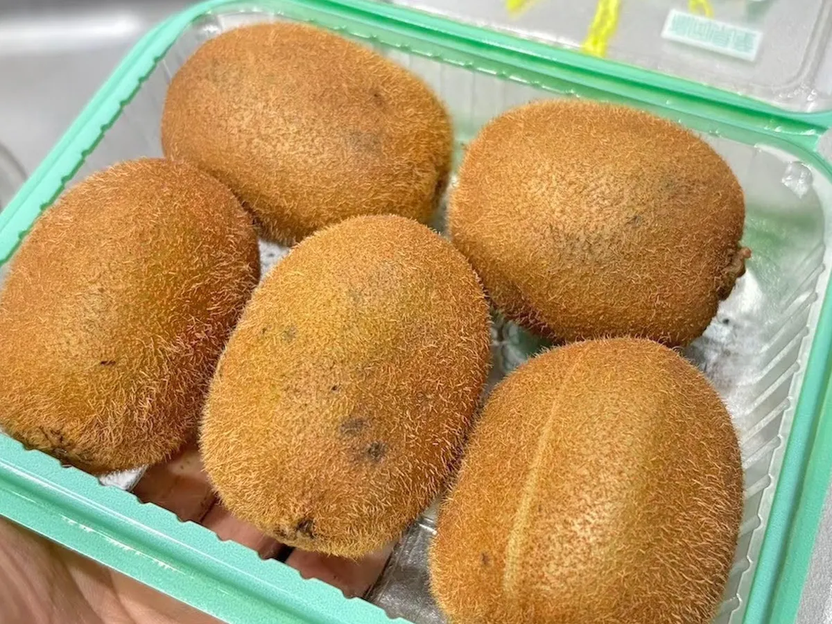 『キウイ』の写真（撮影：キジカク）