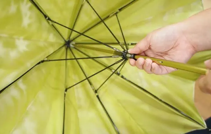 『日傘を開いている』写真（撮影：株式会社 槙田商店）