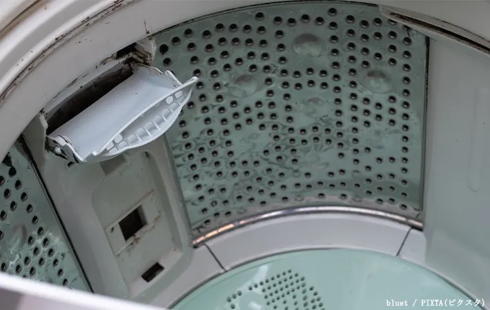 カビた洗濯槽の写真