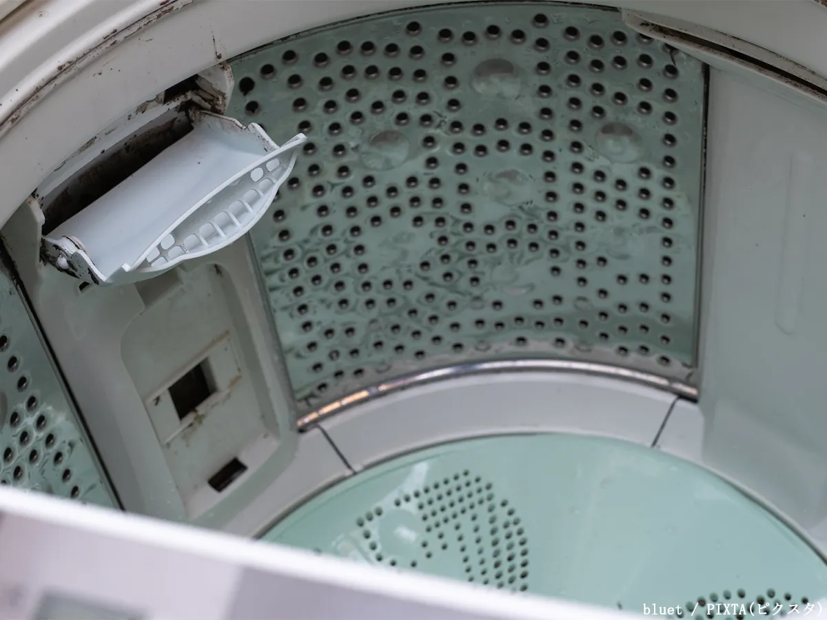 カビが生えた洗濯槽の写真