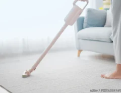 掃除機を使用する人の写真