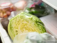 冷蔵庫の中にあるキャベツの写真