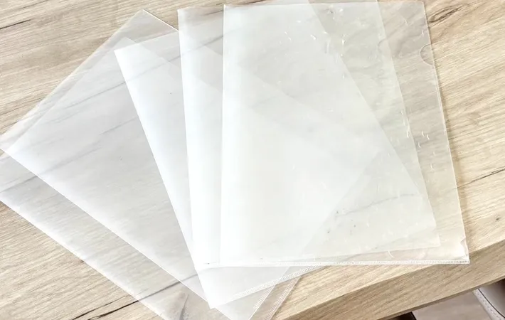 『クリアファイル』の写真（撮影：キジカク）