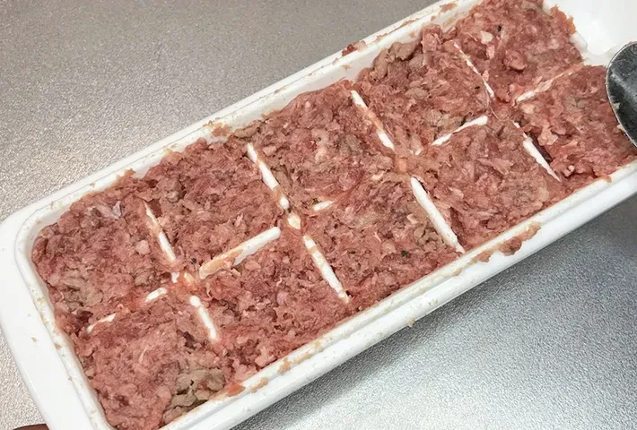 肉ダネを詰めた製氷皿の写真（撮影：キジカク）