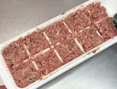肉ダネを詰めた製氷皿の写真（撮影：キジカク）
