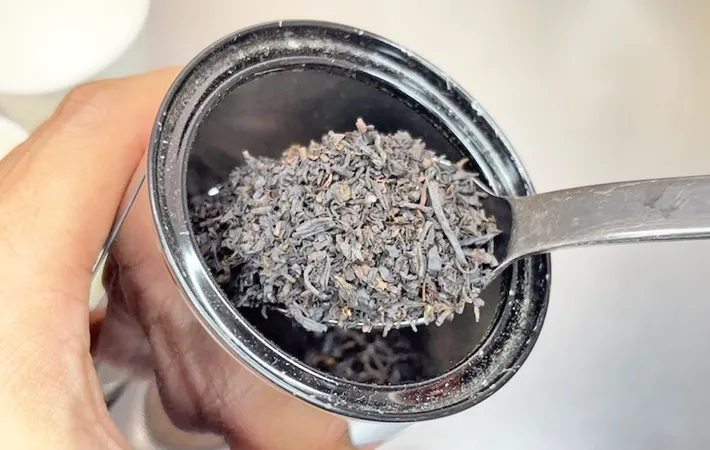 『茶葉』の写真（撮影：キジカク）