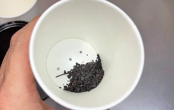 『紙コップで作った茶こし』の使用写真（撮影：キジカク）