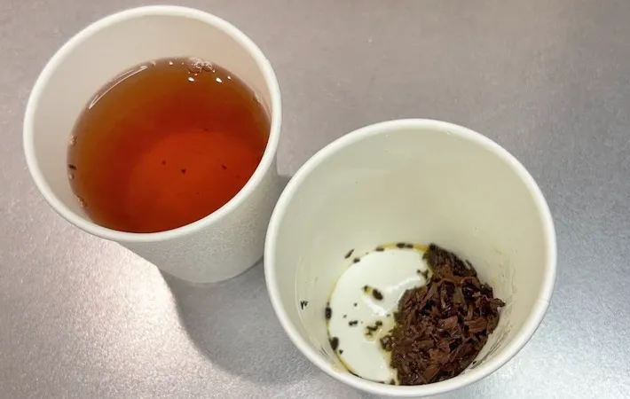 『紙コップで作った茶こし』の使用写真（撮影：キジカク）