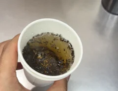 『紙コップで作った茶こし』の使用写真（撮影：キジカク）