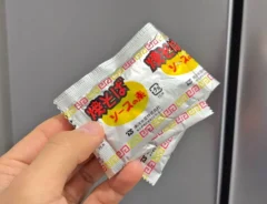 『焼きそば粉末ソース』の写真（撮影：キジカク）
