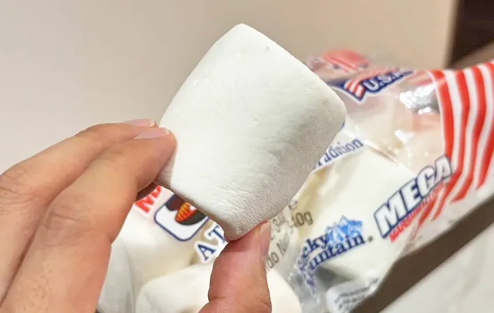 『マシュマロ』の写真（撮影：キジカク）