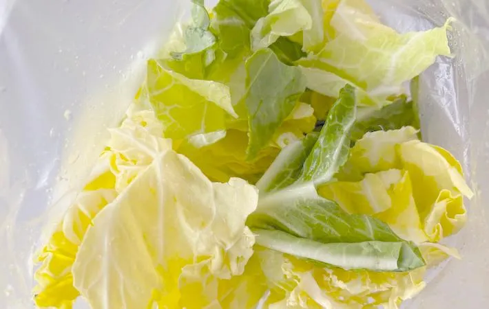 ちぎった春キャベツをポリ袋に入れた画像（撮影：エニママ）