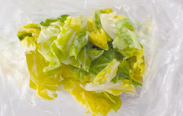 水気をきった春キャベツの画像（撮影：エニママ）