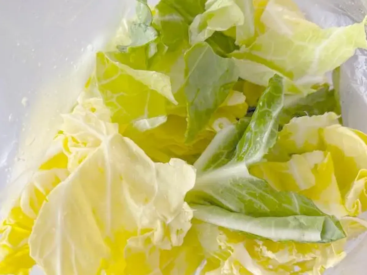 ちぎった春キャベツをポリ袋に入れた画像(撮影:エニママ)