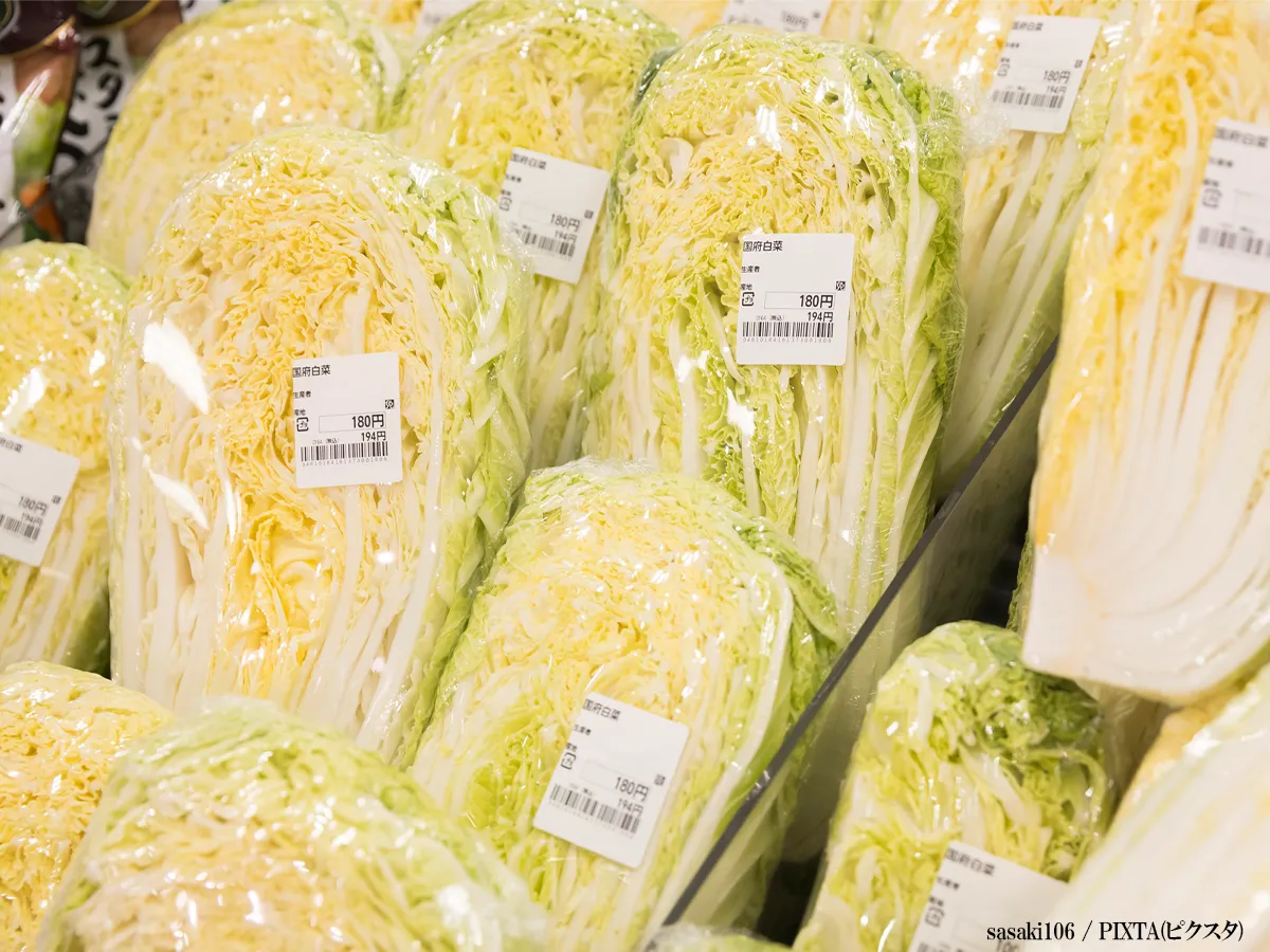 白菜のイメージ写真