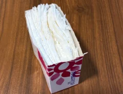 切ったティッシュの写真（撮影：grapeライフハック編集部）