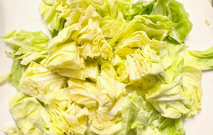 春キャベツを切った画像（撮影：エニママ）