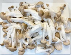 『枝豆ツナご飯』の調理写真（撮影：エニママ）