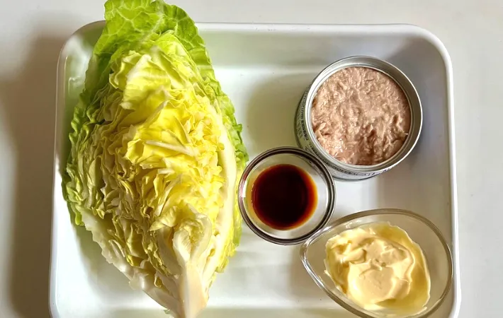 材料の写真（撮影：エニママ）