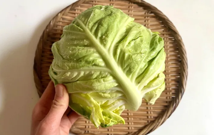 キャベツ、素材の写真（撮影：エニママ）