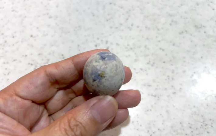 ヒビを入れたうずらの画像（撮影：エニママ）