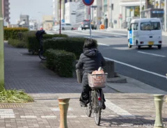 歩道を走る自転車の女性の写真