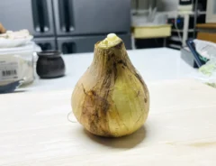 タマネギの写真