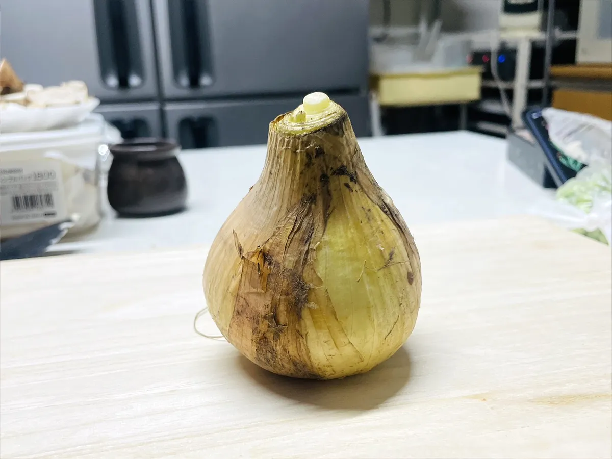 タマネギの写真