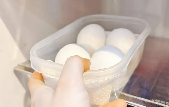 『古いタッパーに卵を収納』の写真（撮影：キジカク）