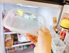 『古いタッパー』の写真（撮影：キジカク）