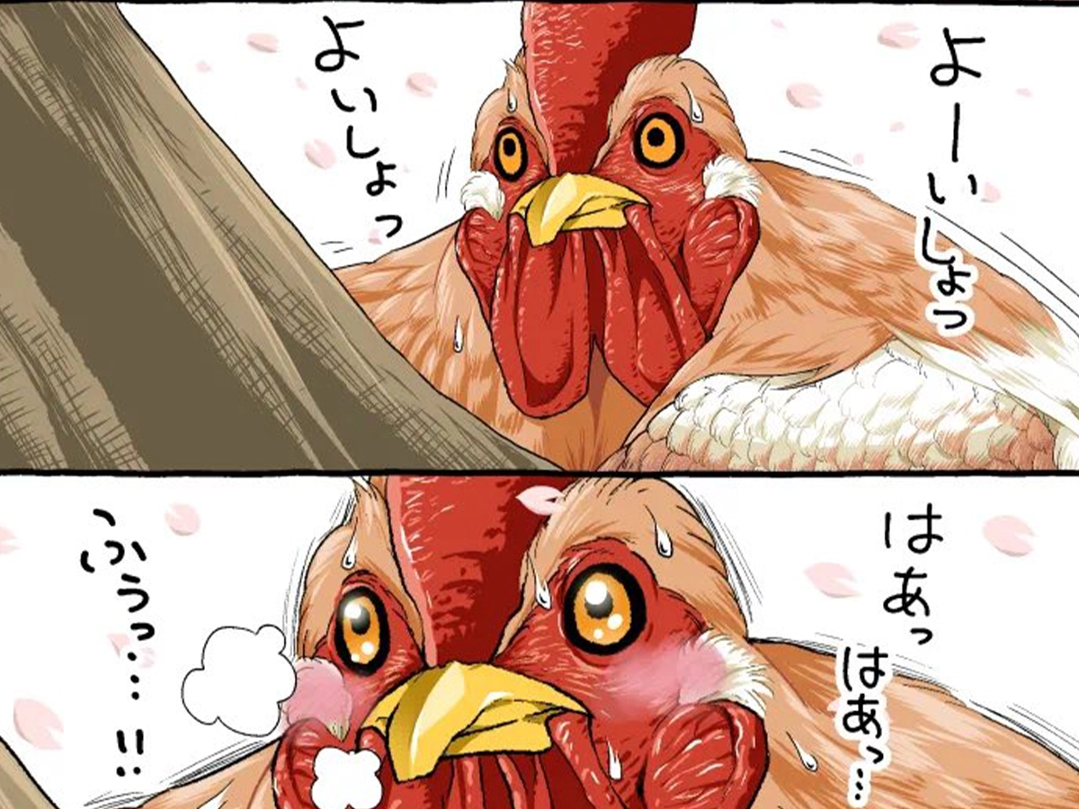 初丸うげべそさんの漫画の画像