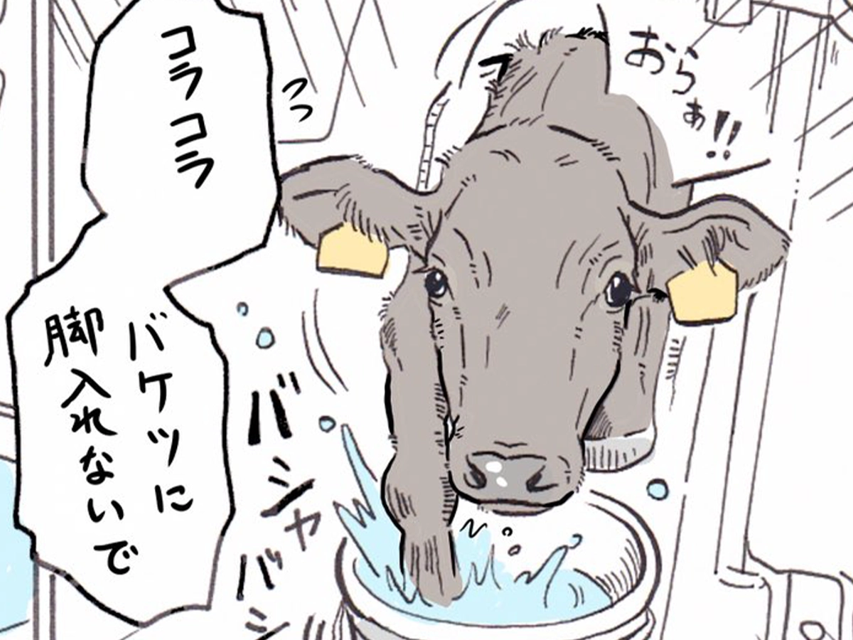 牛川いぬおさんの漫画の画像