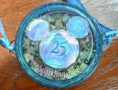 25周年を記念したきらめきあふれるポップコーンバケット（撮影：grapeフード編集部）