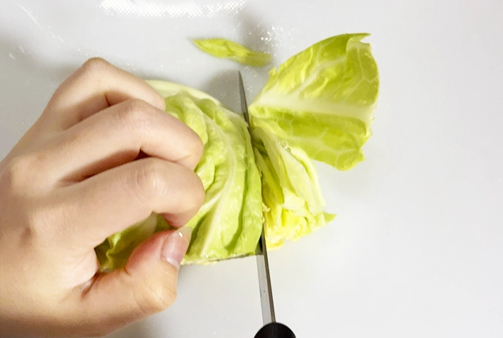 キャベツを切る写真（撮影：grapeフード編集部）