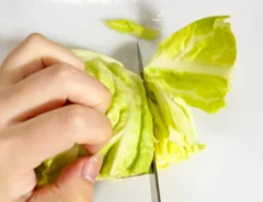 キャベツを切る写真（撮影：grapeフード編集部）