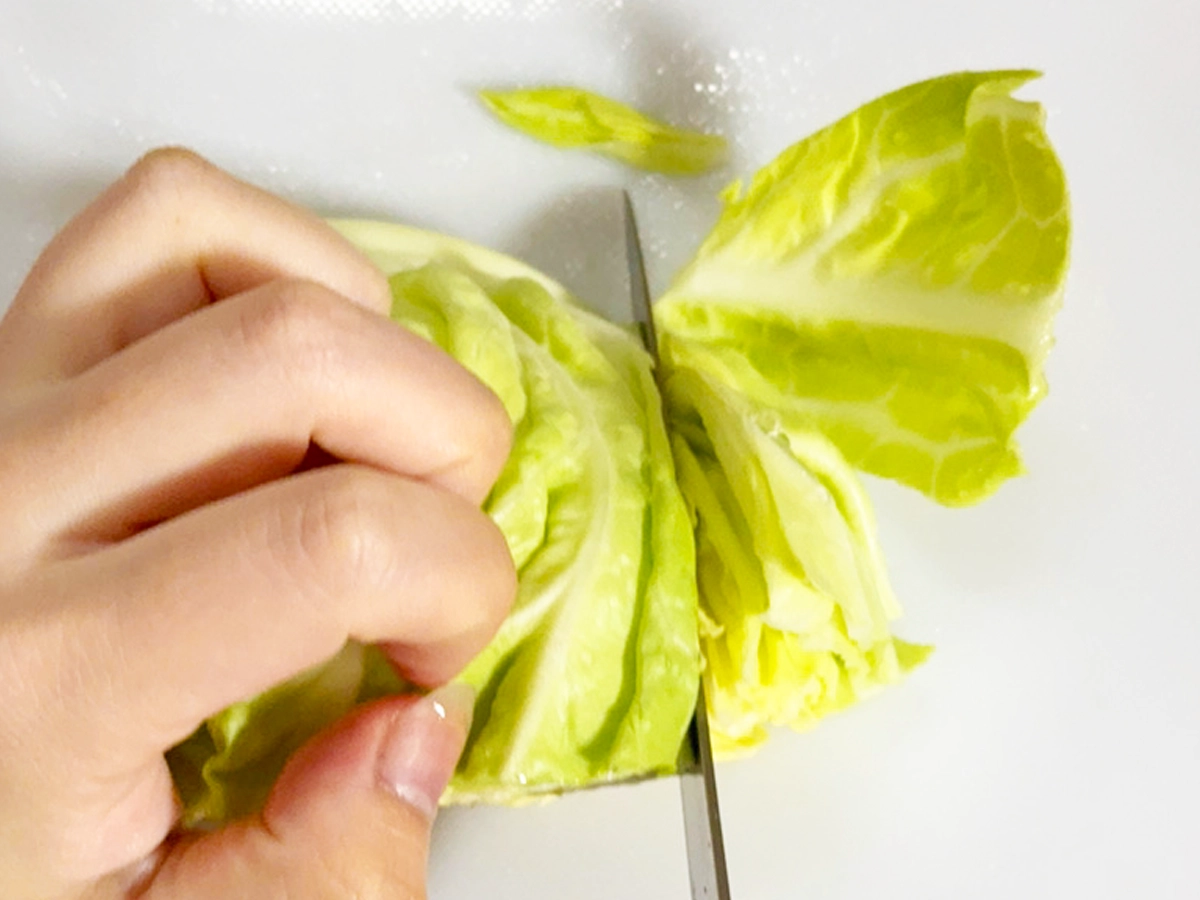 キャベツを切る写真（撮影：grapeフード編集部）