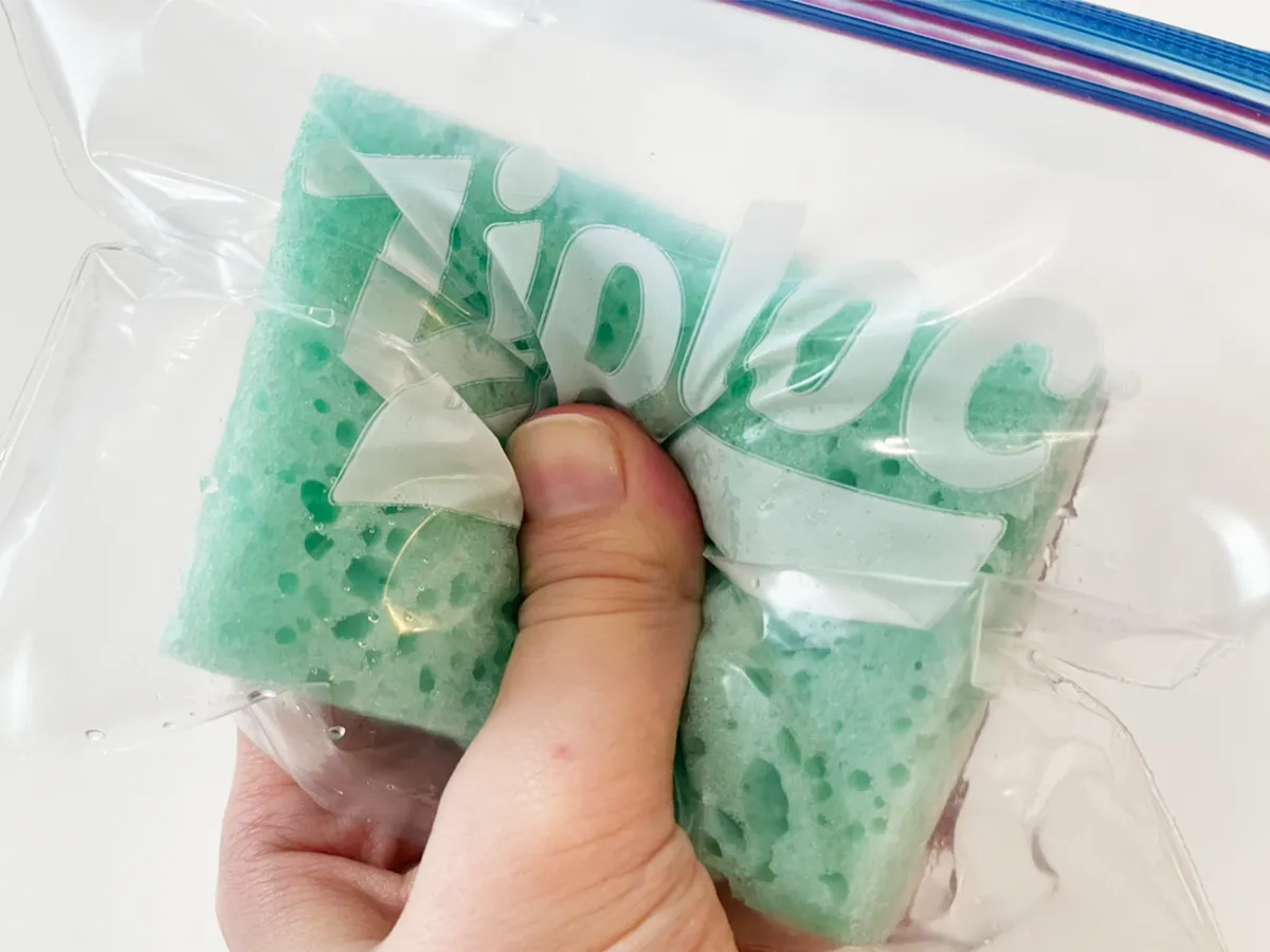 冷凍スポンジを触る写真