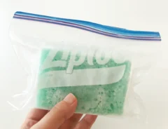 スポンジを冷凍した後の写真