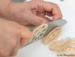 レンコンの写真