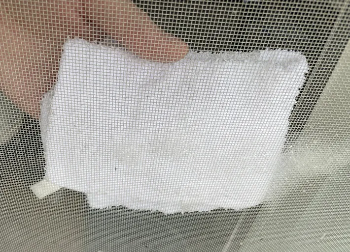 網戸を拭く写真（撮影：grapeライフハック編集部）