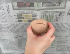 ストッキングで網戸を掃除する写真（撮影：grapeライフハック編集部）