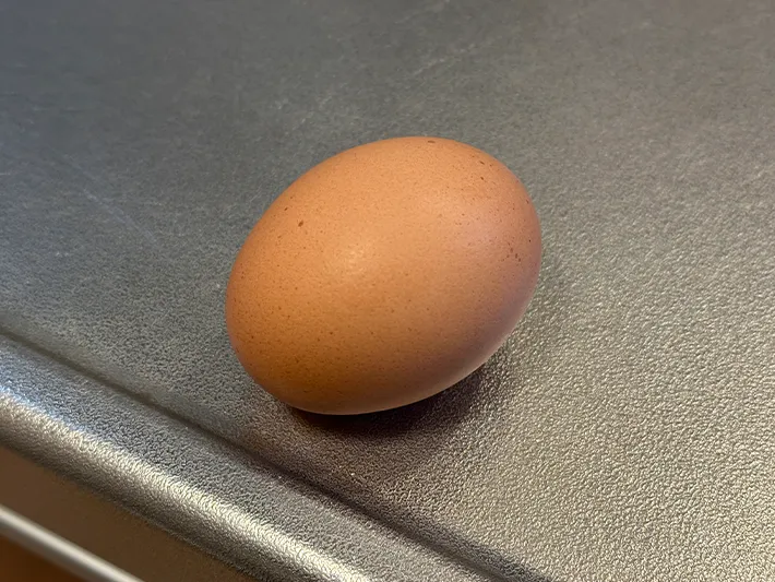 卵の画像（撮影：grapeライフハック編集部）
