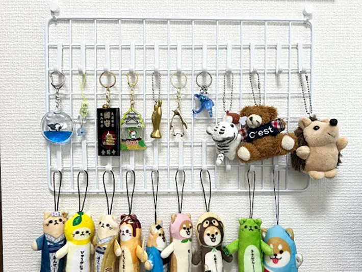 『ワイヤーネットで隙間収納』の写真（撮影：Classy Life）