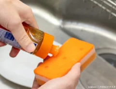 食器洗い用スポンジの写真
