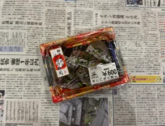 寿司パックを新聞紙で包む（撮影：grapeフード編集部）